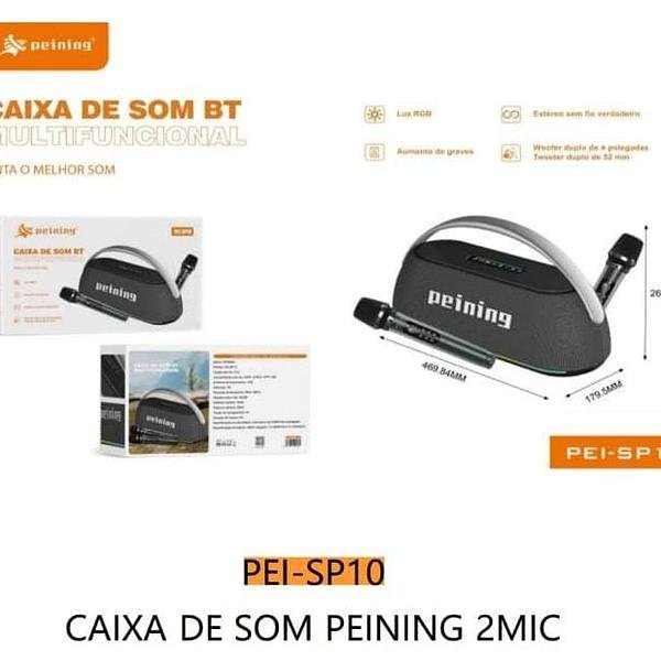 PEINING - CAIXA DE SOM MULTIFUNCIONAL DE 100W A 300W DE POTENCIA - PEI-SP10 - Imagem 2